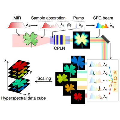 华东师大实现超高速大视场的中红外高光谱成